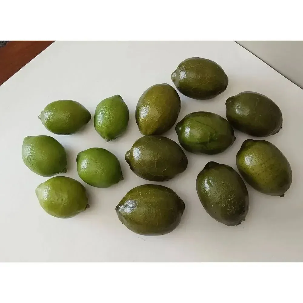 Faux Limes Lot of 13 Artificial Fruit Two sizes